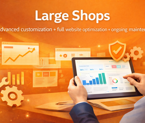 Advanced customization + full website optimization + ongoing maintenance